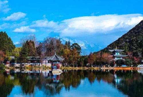 黑龍江省濕地旅游產品開發(fā)的機遇、挑戰(zhàn)與路徑分析